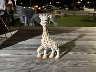 Find this little guys home. Left here tonight. If it is yours will be in the los